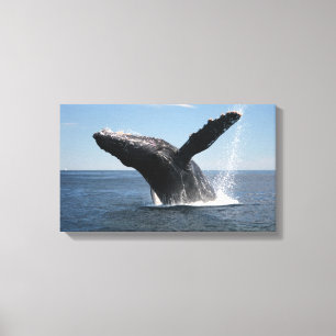 大人にザトウクジラの破ること キャンバスプリント