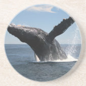大人にザトウクジラの破ること コースター (正面)