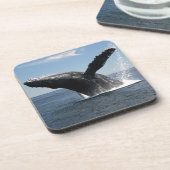 大人にザトウクジラの破ること コースター (左側)