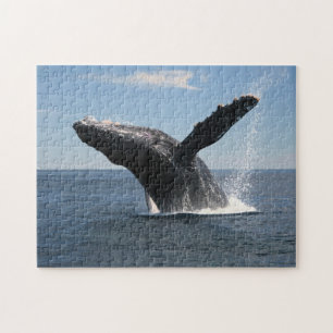 大人にザトウクジラの破ること ジグソーパズル