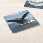 大人にザトウクジラの破ること スクエアペーパーコースター (アングル)