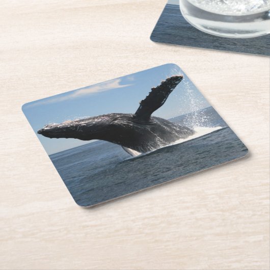 大人にザトウクジラの破ること スクエアペーパーコースター (アングル)