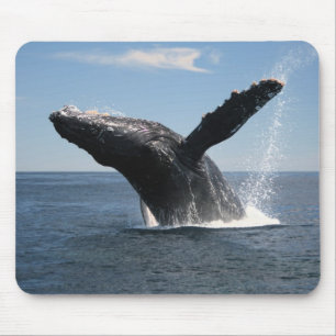 大人にザトウクジラの破ること マウスパッド