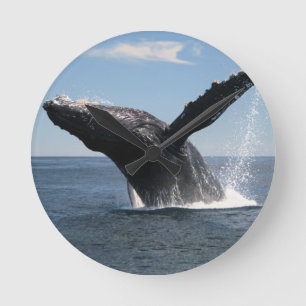 大人にザトウクジラの破ること ラウンド壁時計