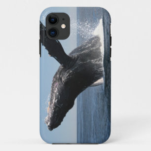 大人にザトウクジラの破ること iPhone 11 ケース