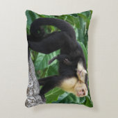 大人のカプチ運ンモンキーのベビー アクセントクッション (正面(垂直))