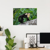 大人のカプチ運ンモンキーのベビー ポスター (ホームオフィス)