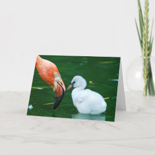 大人のフラミンゴおよびひよこの挨拶状 カード