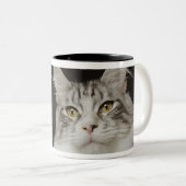大人のメインのあらいぐま猫 ツートーンマグカップ (正面右)