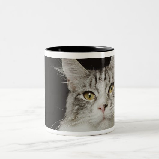 大人のメインのあらいぐま猫 ツートーンマグカップ (中央)