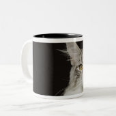大人のメインのあらいぐま猫 ツートーンマグカップ (正面左)