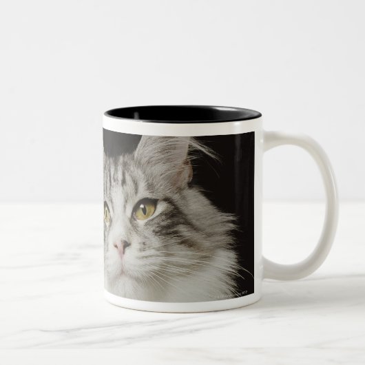 大人のメインのあらいぐま猫 ツートーンマグカップ (右)