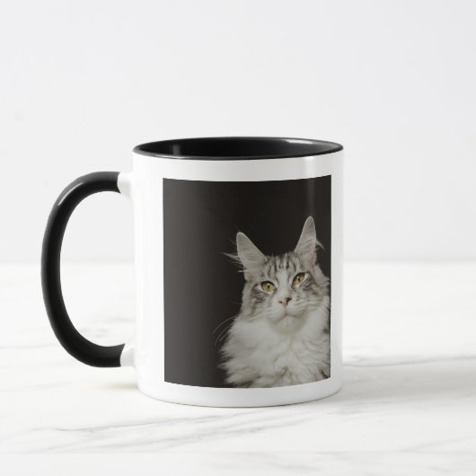 大人のメインのあらいぐま猫 マグカップ (左)