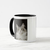 大人のメインのあらいぐま猫 マグカップ (正面左)