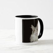 大人のメインのあらいぐま猫 マグカップ (正面右)