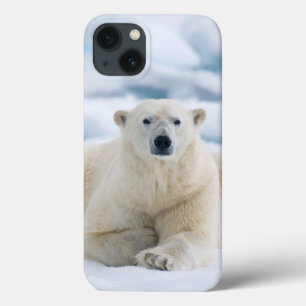 大人の北極は夏のパック氷に関係します iPhone 13ケース