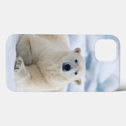 大人の北極は夏のパック氷に関係します Case-Mate iPhoneケース (裏面 (横))