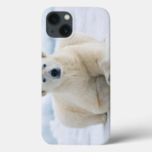 大人の北極は夏のパック氷に関係します iPhone 13ケース