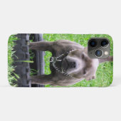 大人の男の(犬)スタッフォードテリア遊よう Case-Mate iPhoneケース (裏面(横))