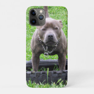 大人の男の(犬)スタッフォードテリア遊よう iPhone 11 PROケース