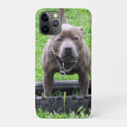 大人の男の(犬)スタッフォードテリア遊よう Case-Mate iPhoneケース (裏)