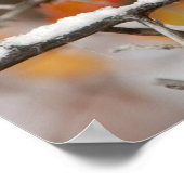 大人の黒のキャップ《鳥》アメリカゴガラで雪,グランド ポスター (角)