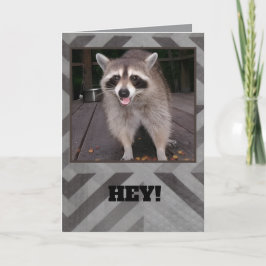 大人も子供も使えるアライグマの誕生日カード カード