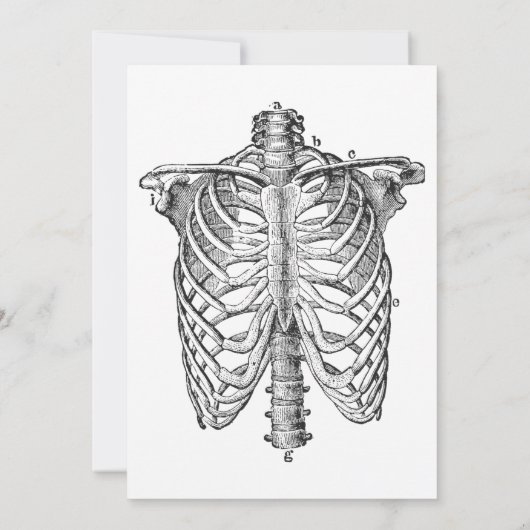 大人ハローウィンパーティヴィンテージ幽霊スカルスパイダー 招待状 (裏面)