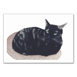 大人向け読の亀の甲猫のフラッシュカード テーブルナンバー