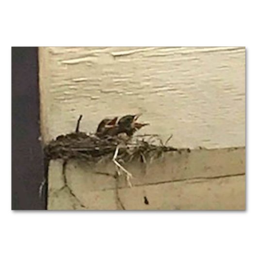 大人向け鳥の読フラッシュカードを鳴らす動詞 テーブルナンバー (正面)