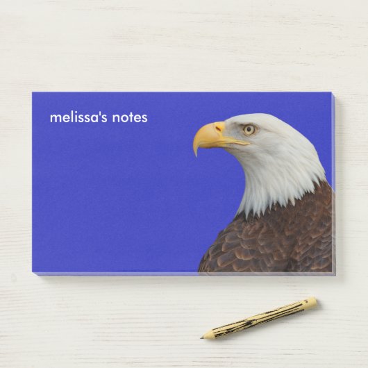 大人素晴らしのハゲのプロフィール ポストイット (デスク)