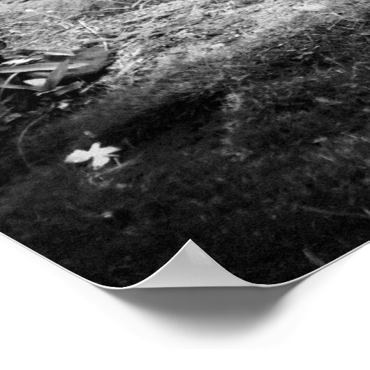 大仏B&W ポスター (角)