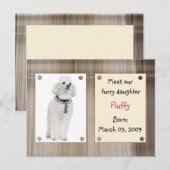 大会の新しいペット 案内ポストカード (正面/裏面)