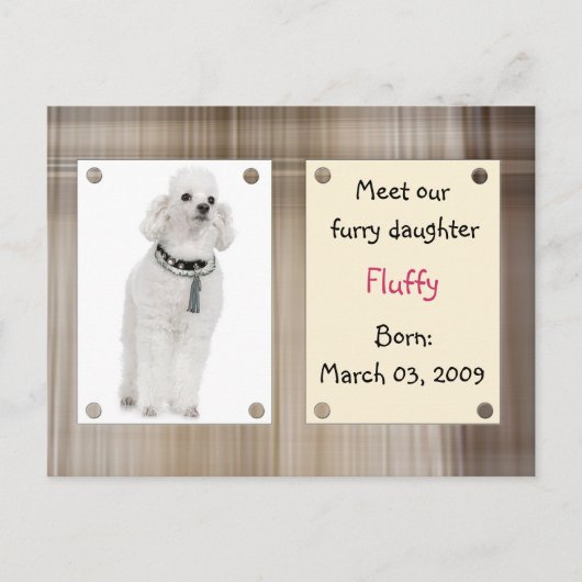 大会の新しいペット 案内ポストカード (正面)