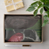 大使の若い者ホルベイン 薄葉紙 (ギフト)