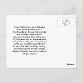 大凍ってい人 ポストカード (裏面)