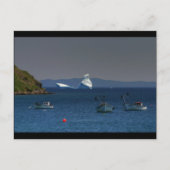 大凍ってい人 ポストカード (正面)