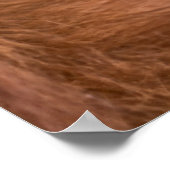 大切なオランウータン母カドル ポスター (角)