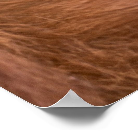 大切なオランウータン母カドル ポスター (角)