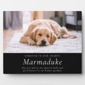 大切なペットのメモリアル お別れと再会の記念に フォトプラーク (正面)