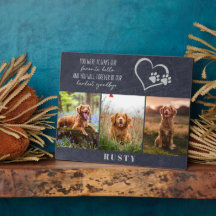 大切なペットのメモリアル　ハードな別れを優しい記憶に