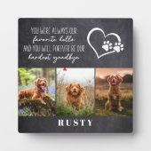 大切なペットのメモリアル フォトプラーク (正面)