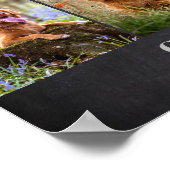 大切なペットのメモリアル　～初めての別れと永遠の記憶～ ポスター (角)