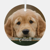 大切なペットの写真 犬好きな人のための 現代的でシンプルな 記念品 ガラスオーナメント (裏面)