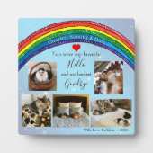 大切なペットの思い出　ハローぺっとメモリアルフォトプレート フォトプラーク (正面)