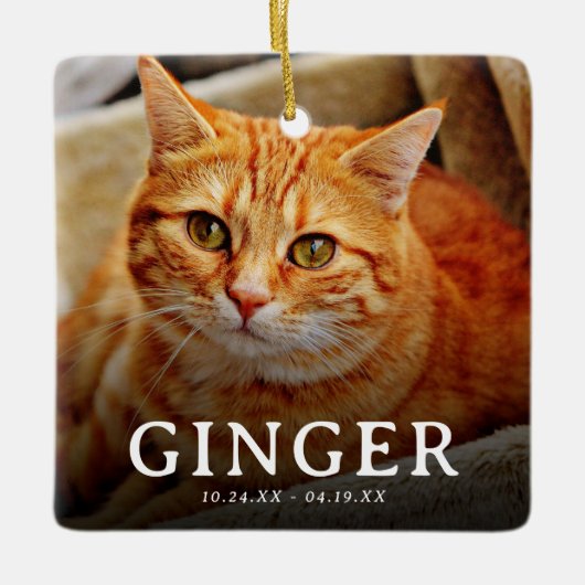 大切なペットの思い出 猫 2枚の写真のメモリアル セラミックオーナメント (正面)