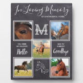 大切なペットの記憶を永遠に　馬　ペットロス　オリジナル５枚の写真 フォトプラーク (正面)