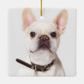 大切なペットの記憶を胸に　～好きな言葉で贈るペットメモリアル～ セラミックオーナメント (裏面)