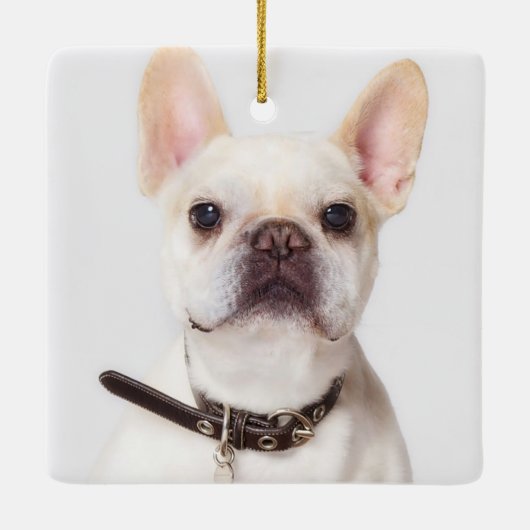 大切なペットの記憶を胸に　愛と感謝を込めて　お気に入りの言葉を刻んだメモリアルプレート セラミックオーナメント (裏面)