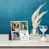 大切なペットメモリアル 現代のオーダーメイド 3枚の写真 フォトプラーク (インサイチュ)